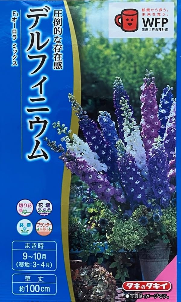 ta621様専用出品◇タイの最高峰2品種◇レディフィンガー